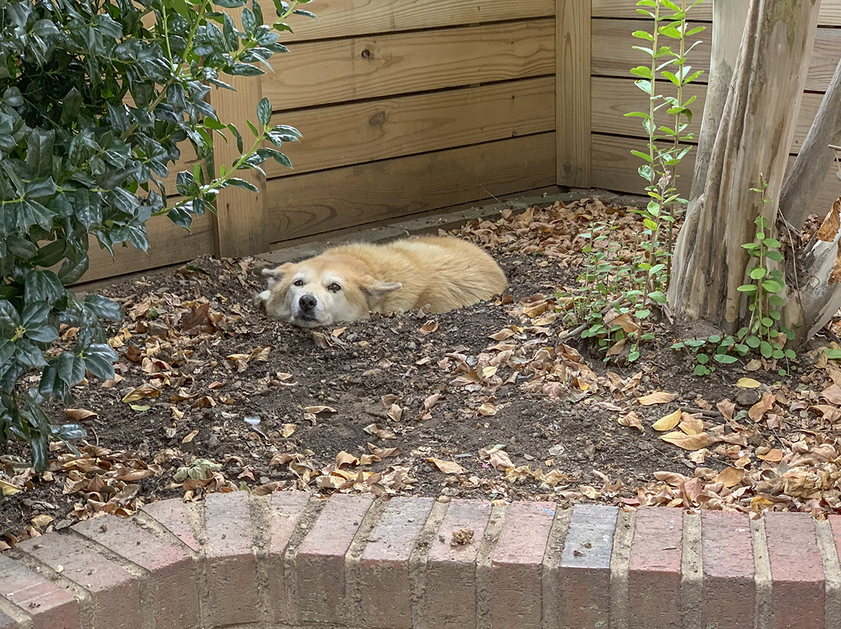 Sahraa in her earthwork masterpiece