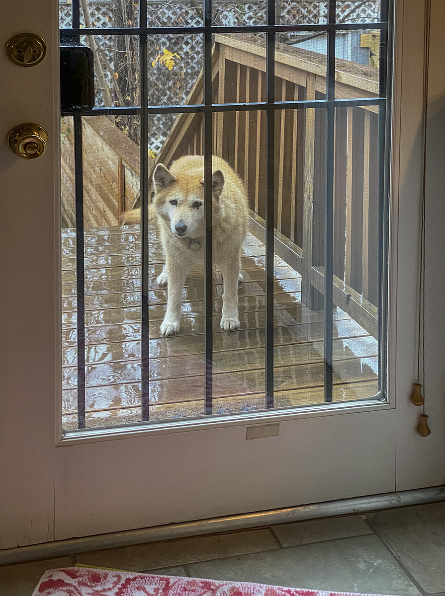 Lemme in!