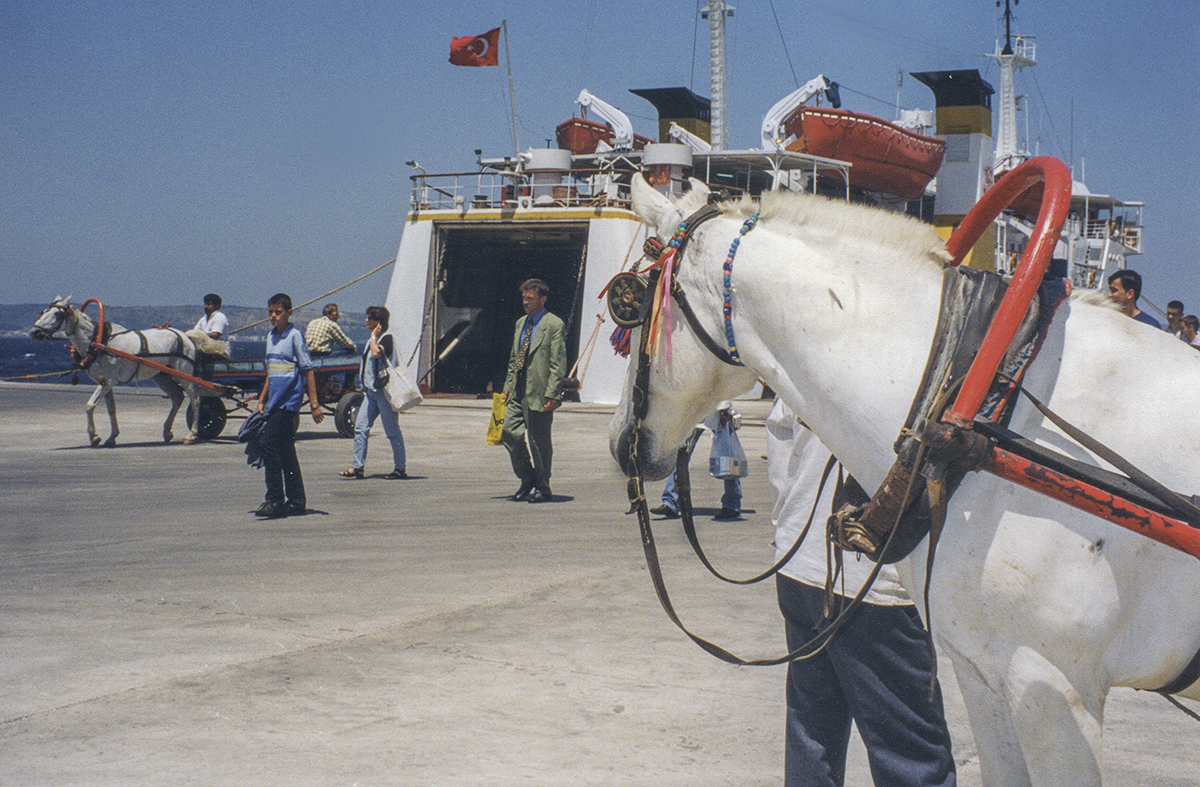 anakkale car (and horse) ferry to Gallipoli