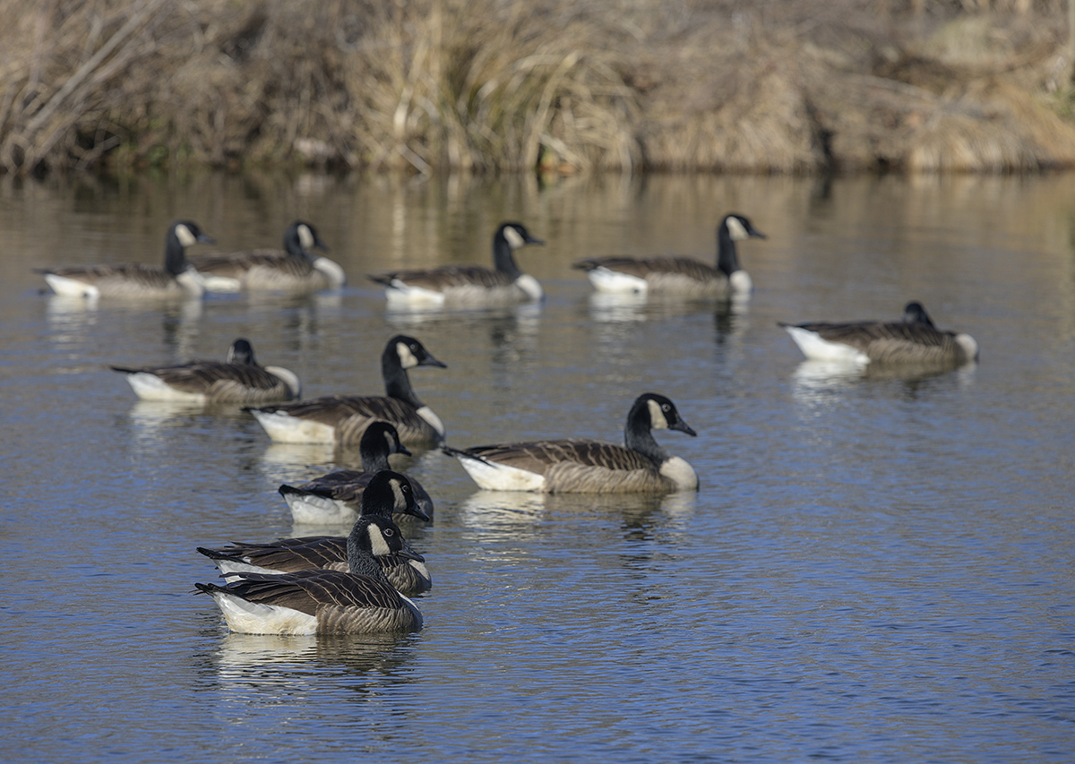 In formation