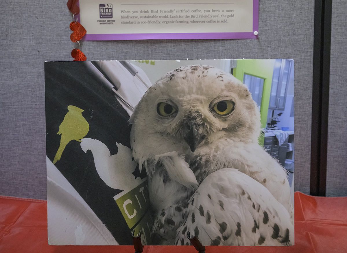 Very first patient at City Wildlife