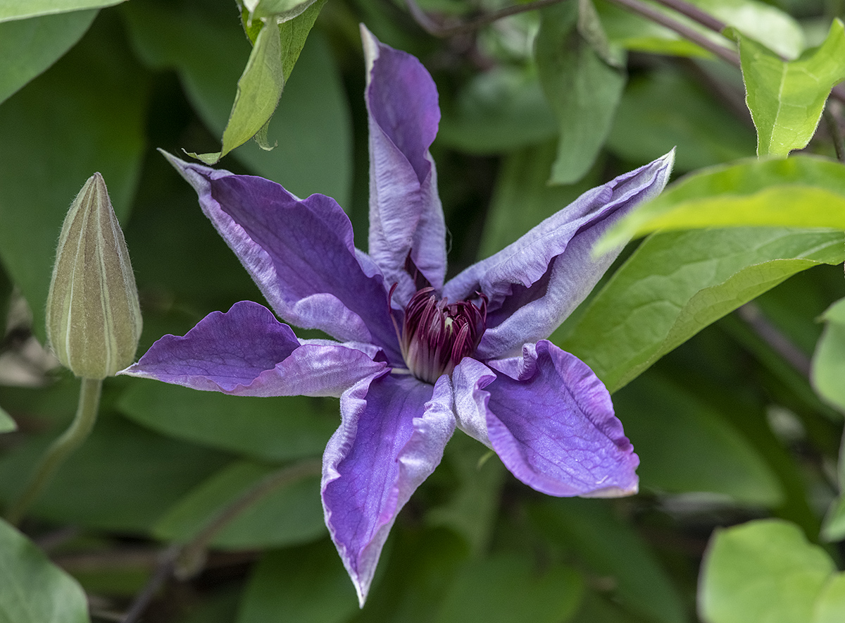 Unfolding