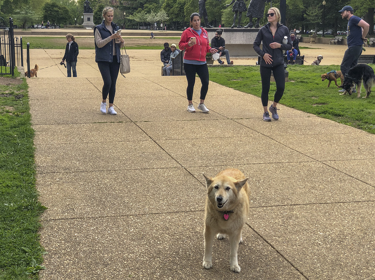 Happy to be in the park