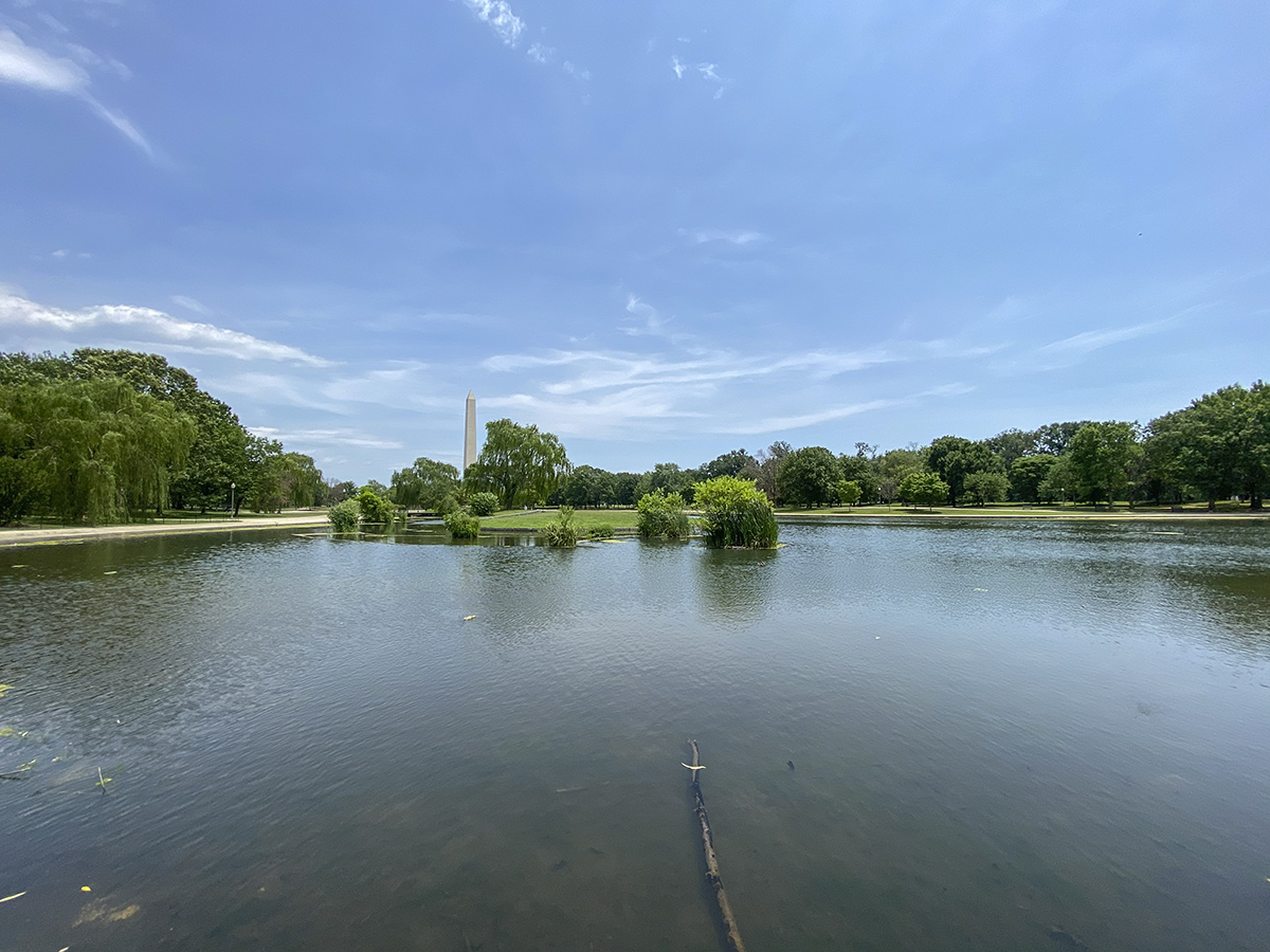 Why we like Constitution Gardens so much...