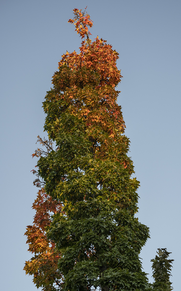 The beginnings of fall on Capitol Hill