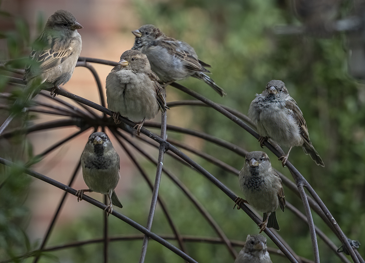 Surrounded by friends