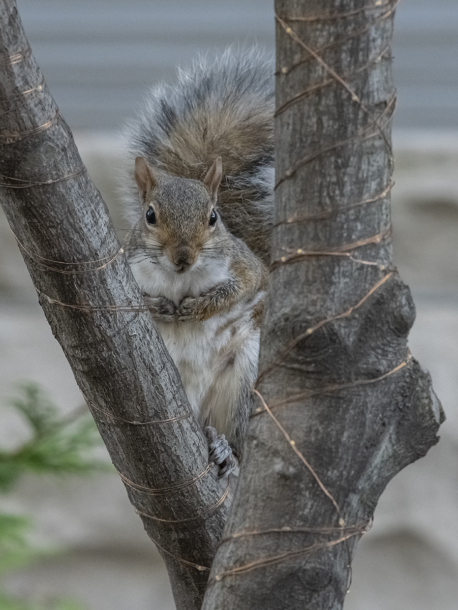 Watching me watching you