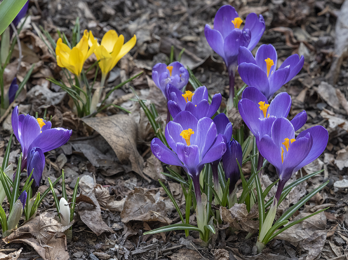 More signs of spring