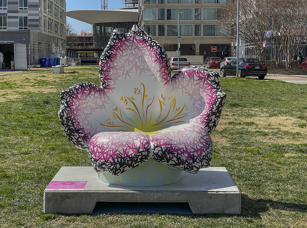 Sakura+Seasons, Tracie Griffith Tso