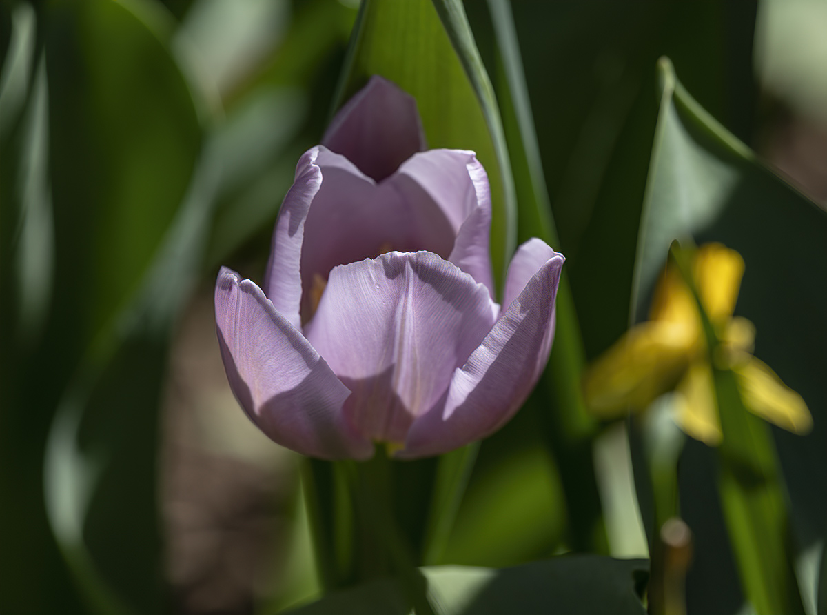 Spring is really here!