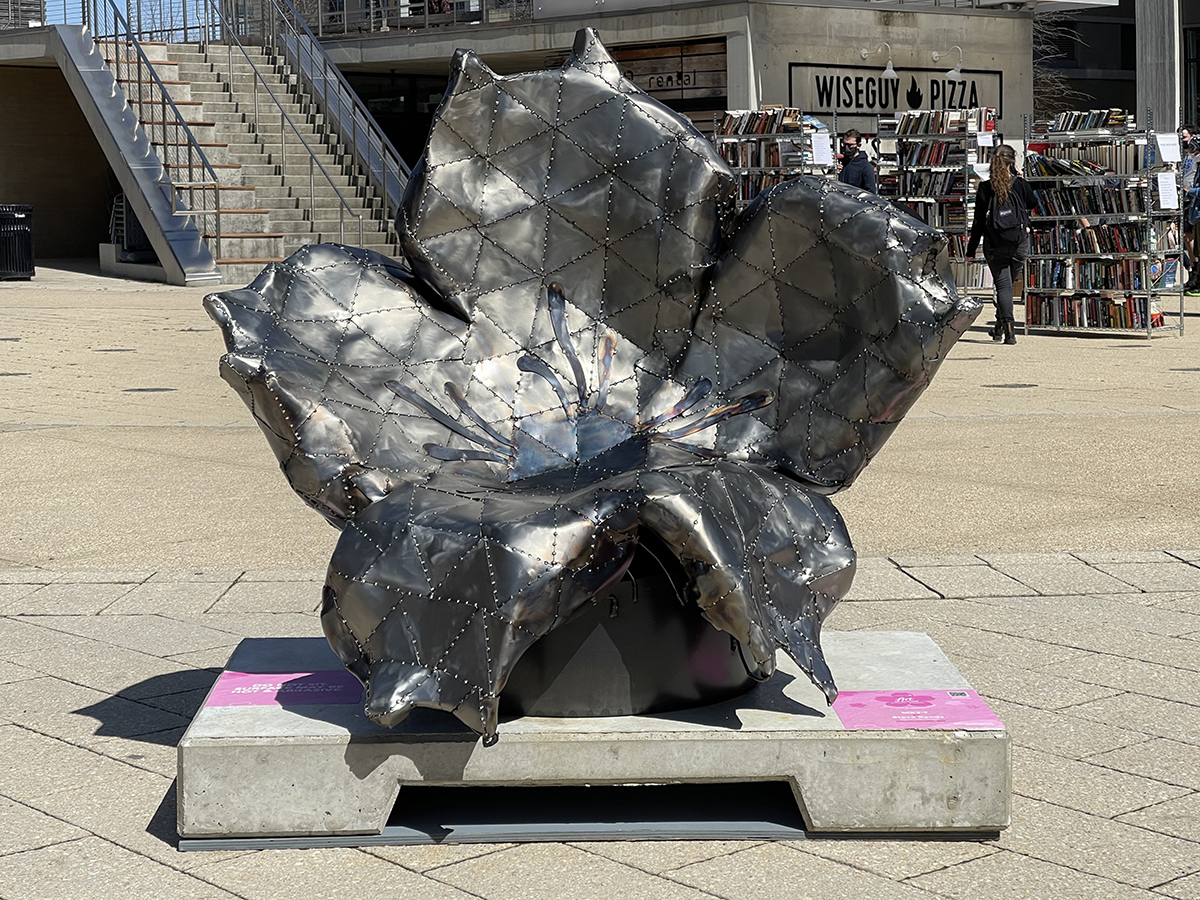 MXY-7, Steve Rands