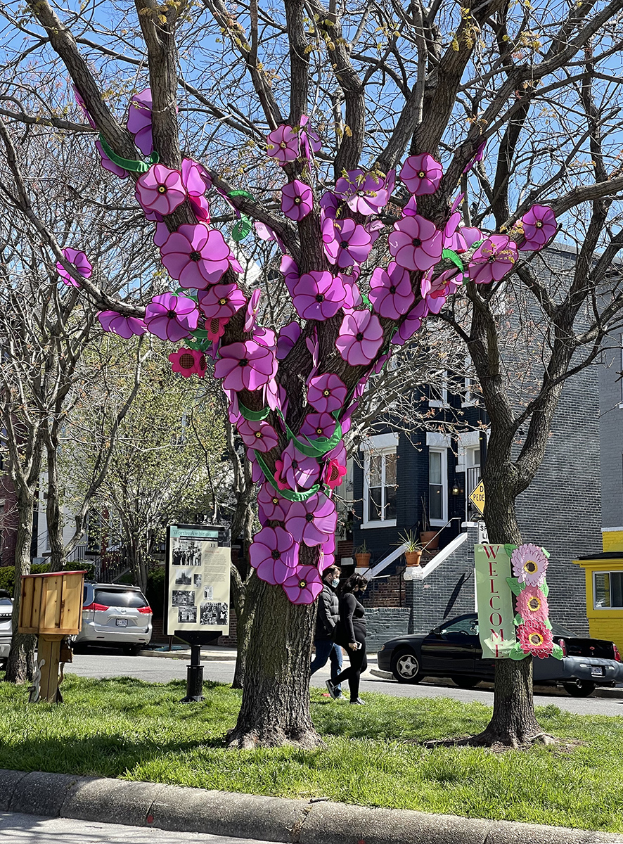 Flowering tree