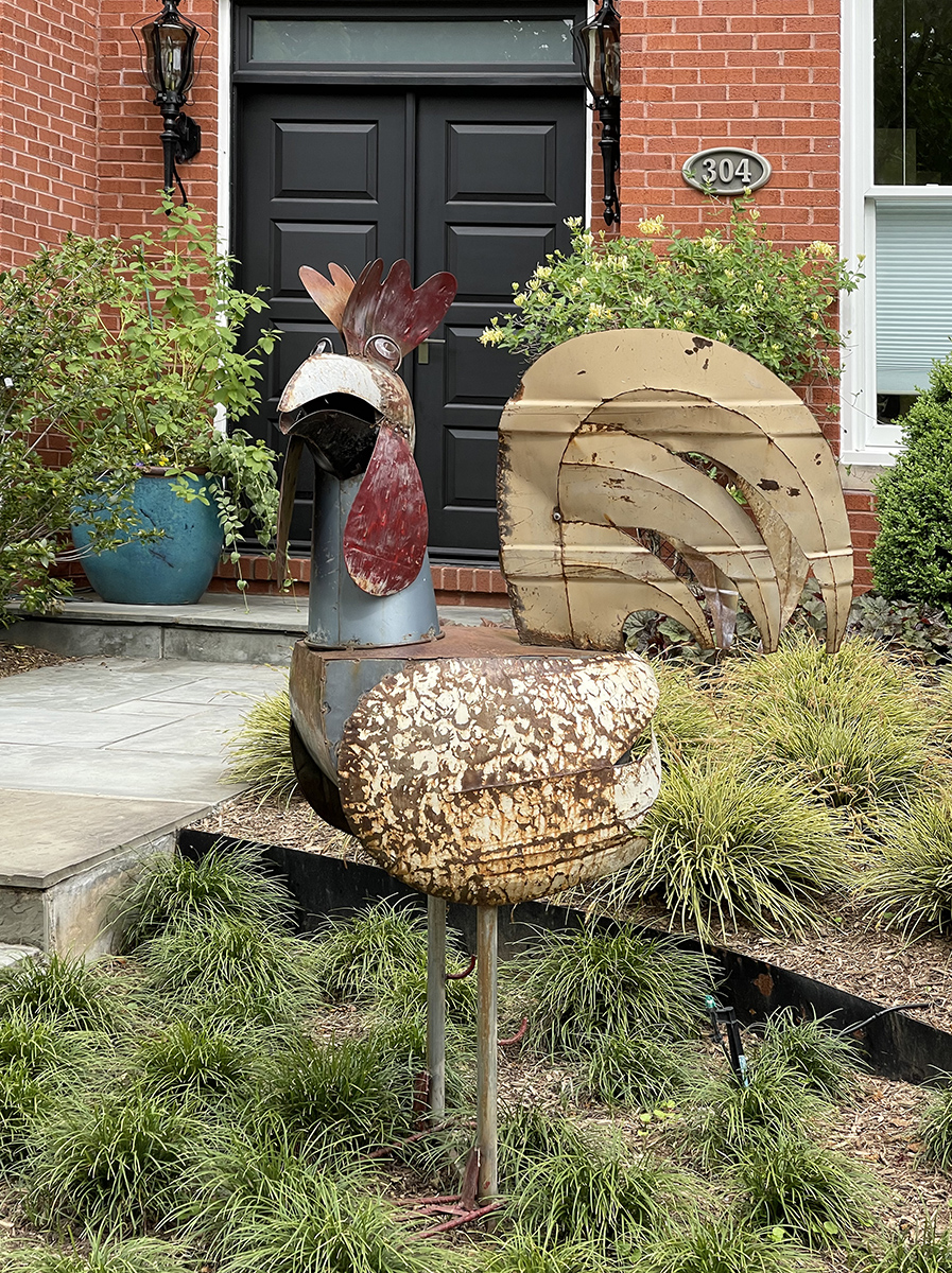 The thoughtful rooster