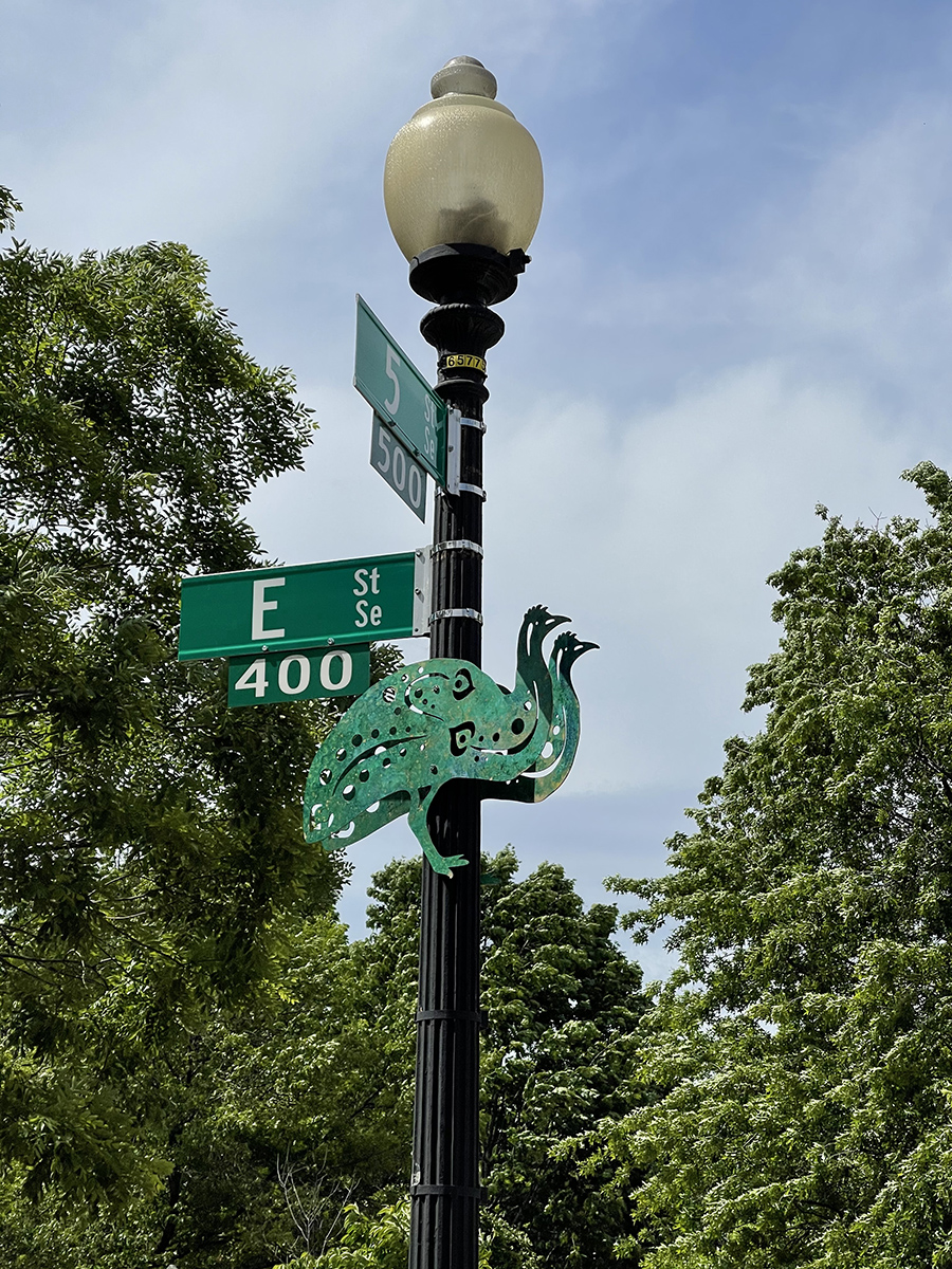 Emu watch on E Street