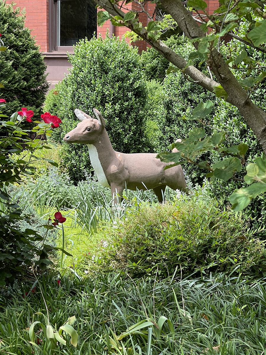 The famous deer at the Deer House