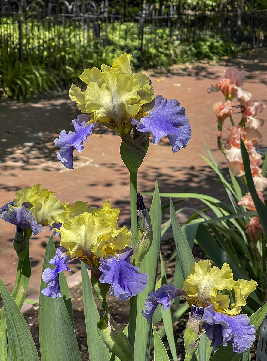 Curbside display