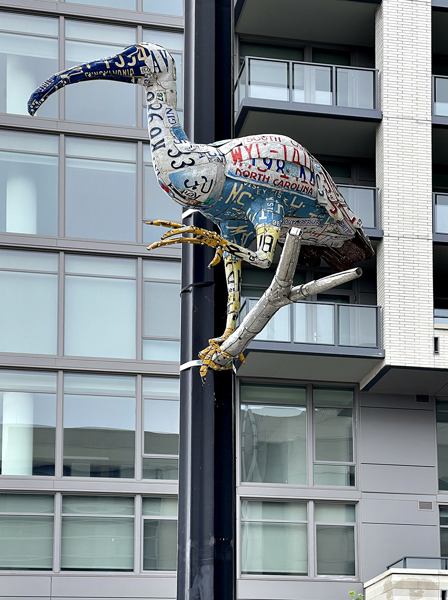 I (Street) is for ibis