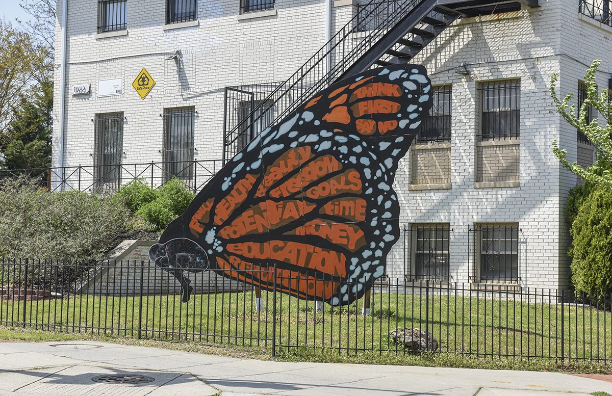 The butterfly that finally gave up the ghost