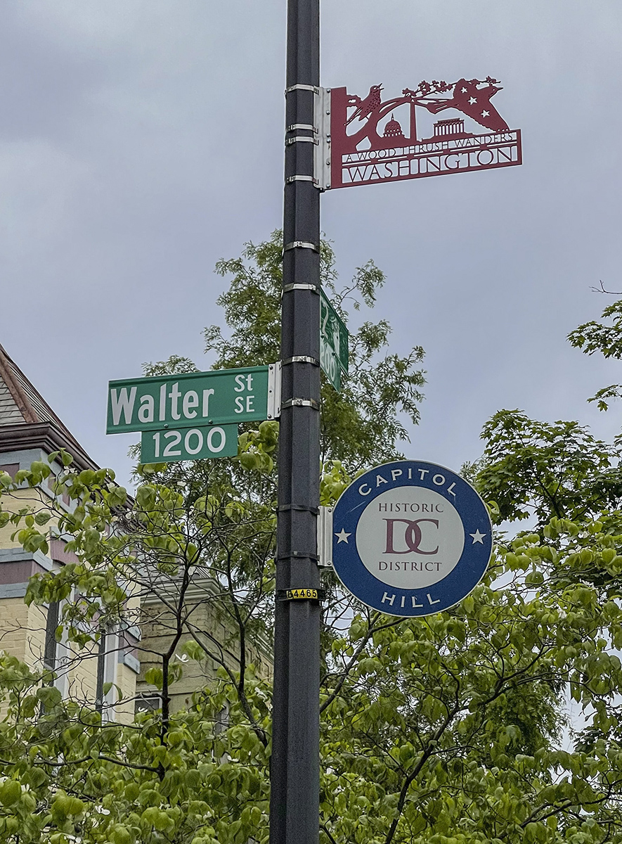 W(alter) Street is for wood thrush