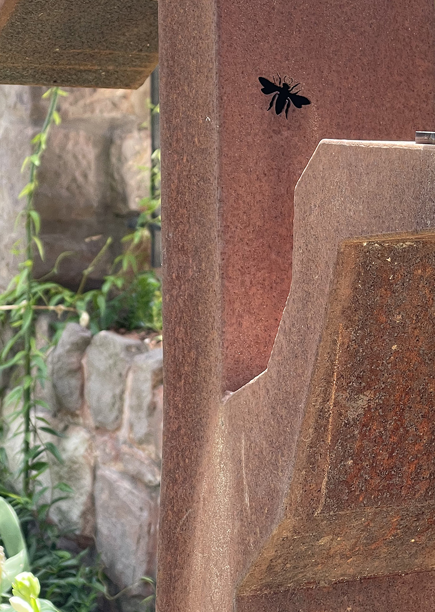 Riddle of the mysterious insect solved
