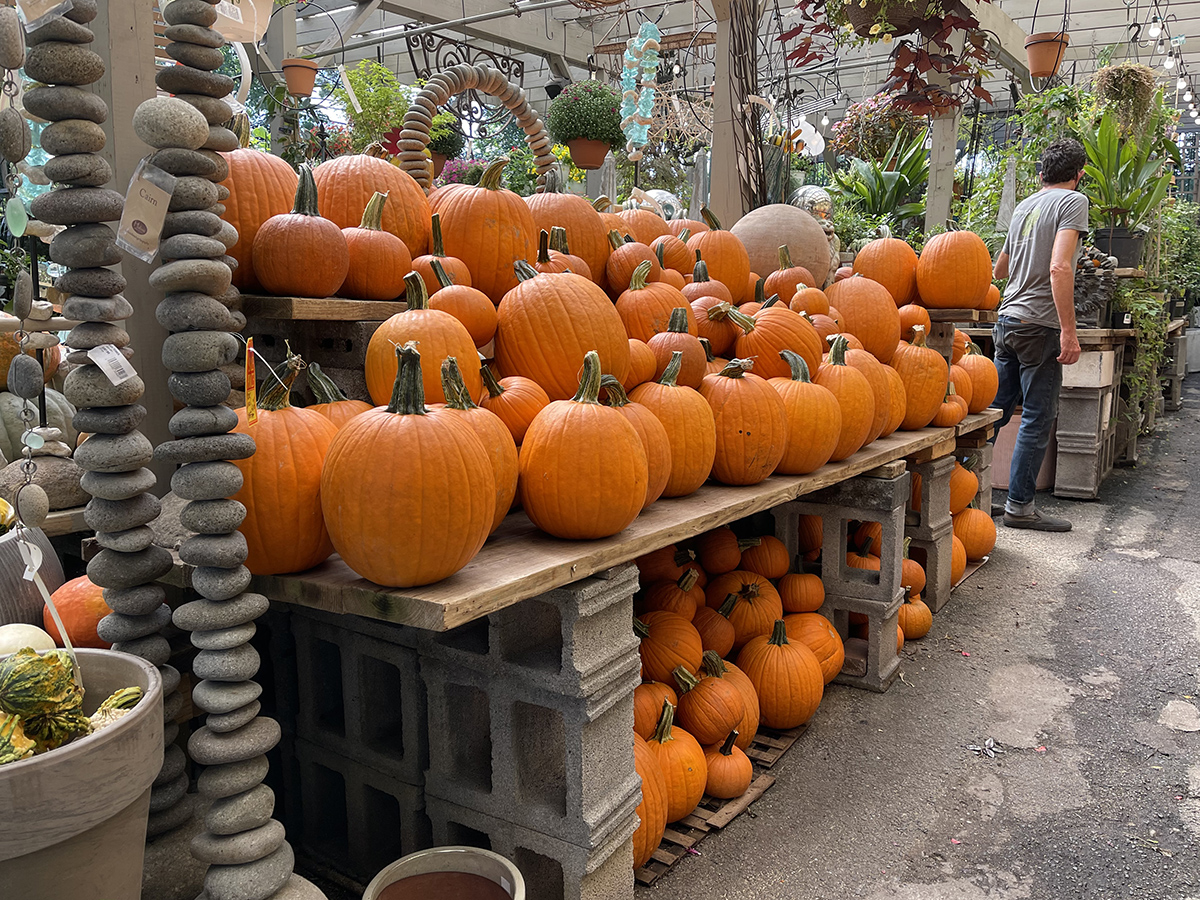Its that time of year again