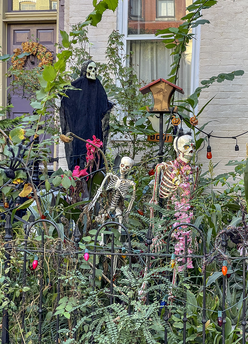 Just another day in the neighborhood