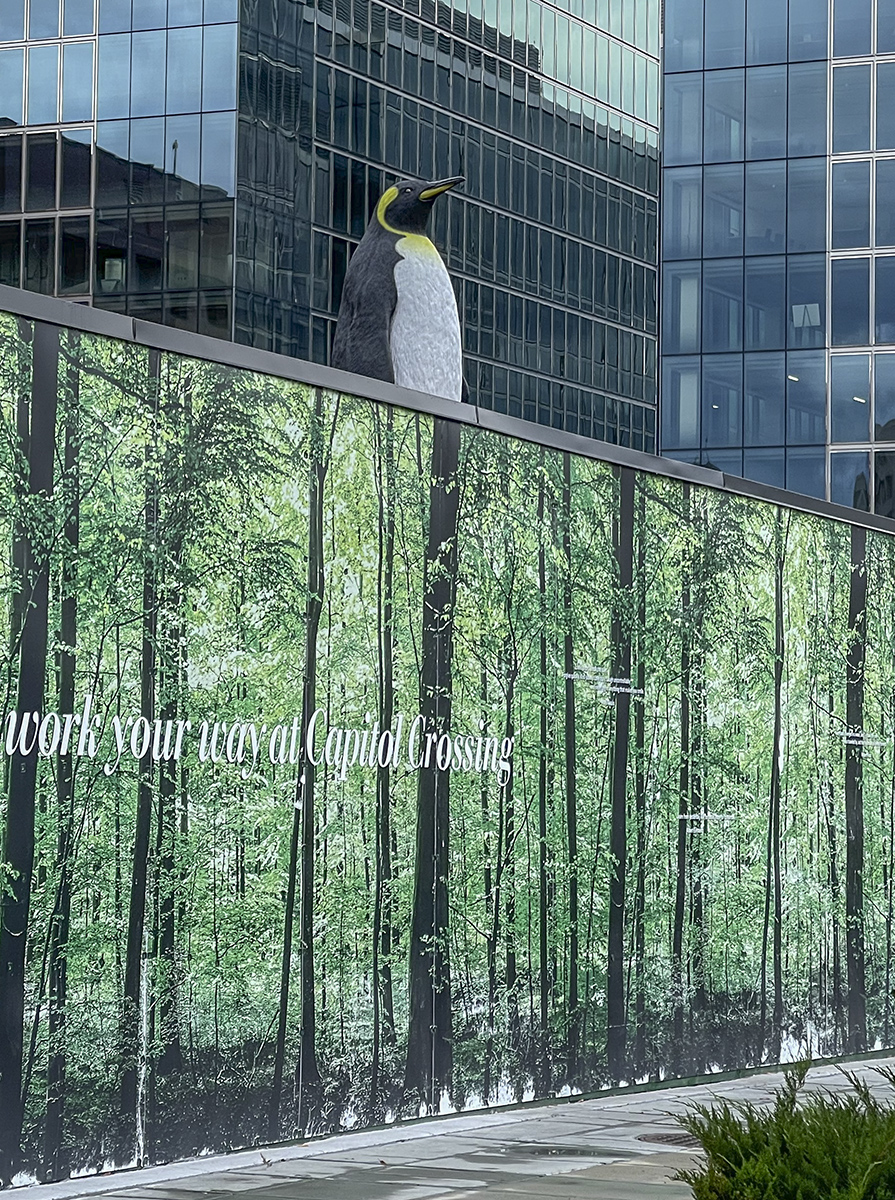 Construction site penguin