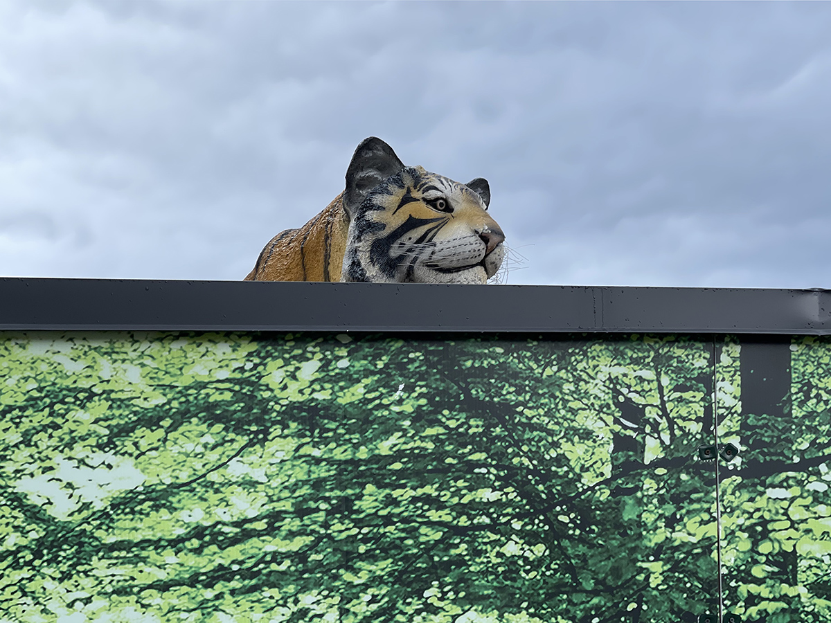 A head above