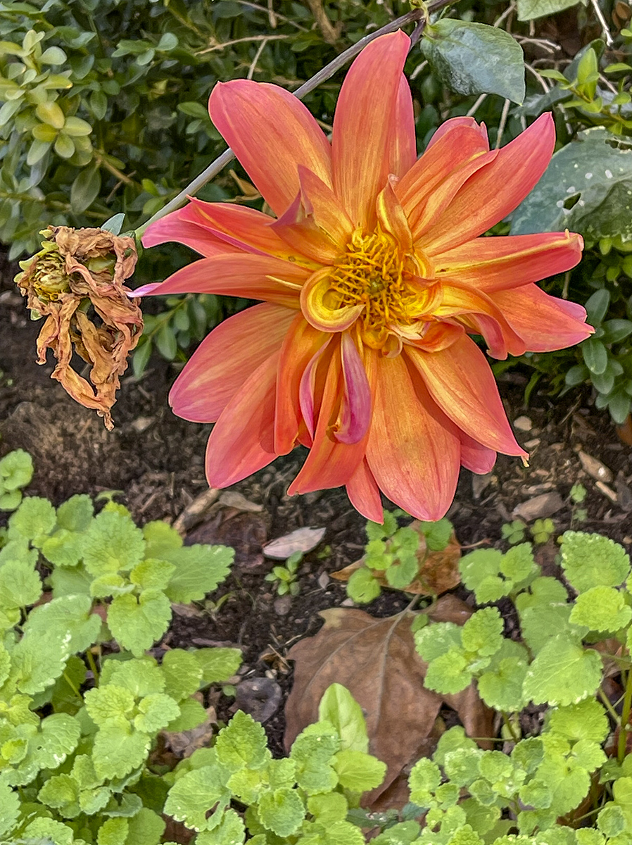 Found another one!