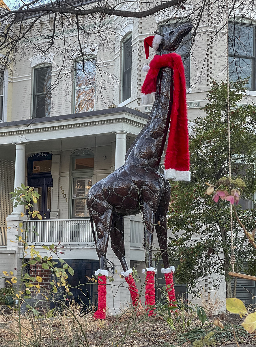 The elf giraffe