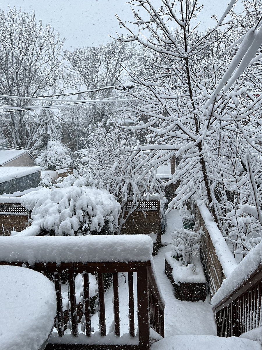 We actually have snow in DC!