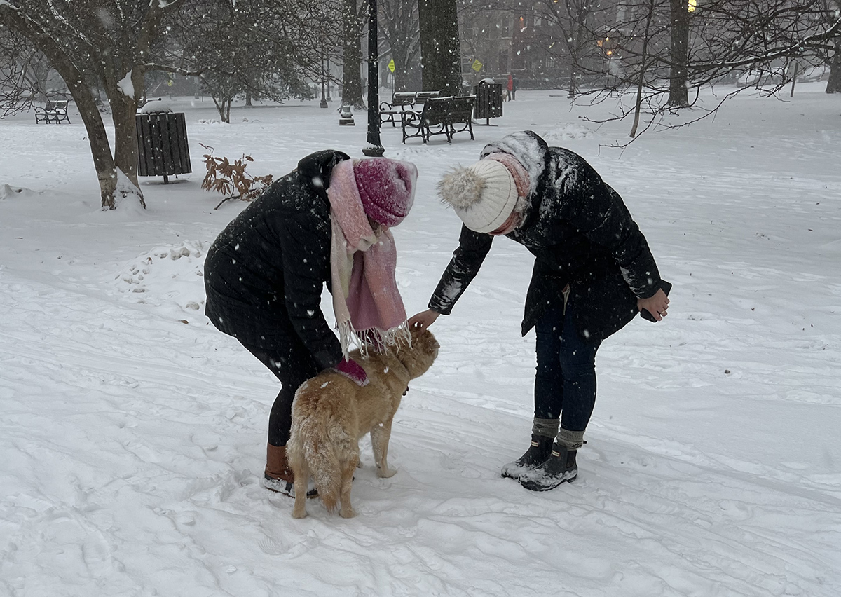 Sahraa making friends in the park