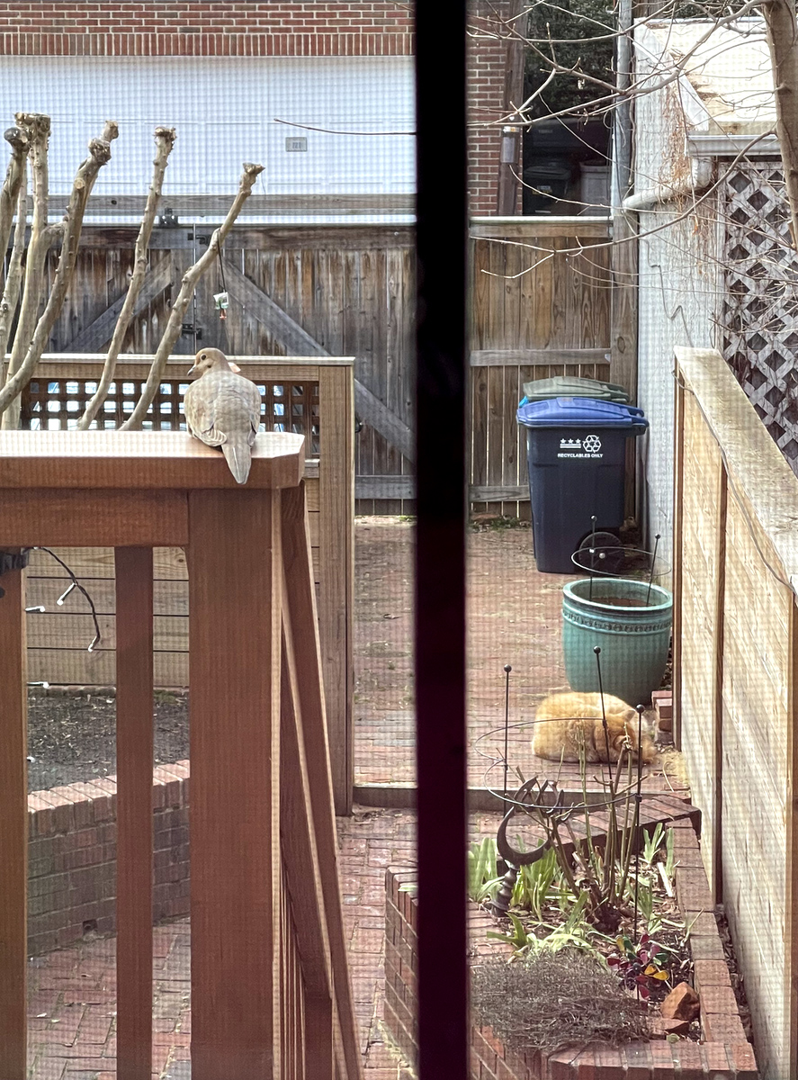 Peaceful coexistence