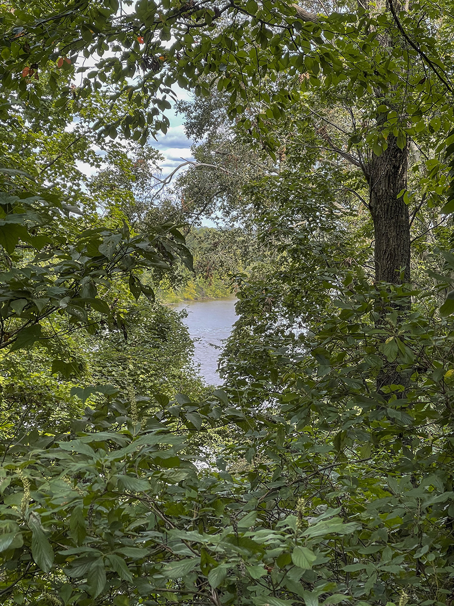 The hidden Anacostia River