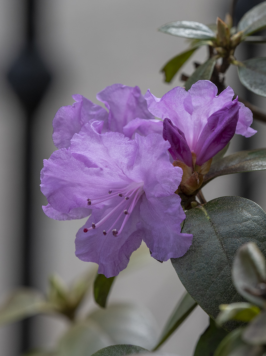 Spring has sprung