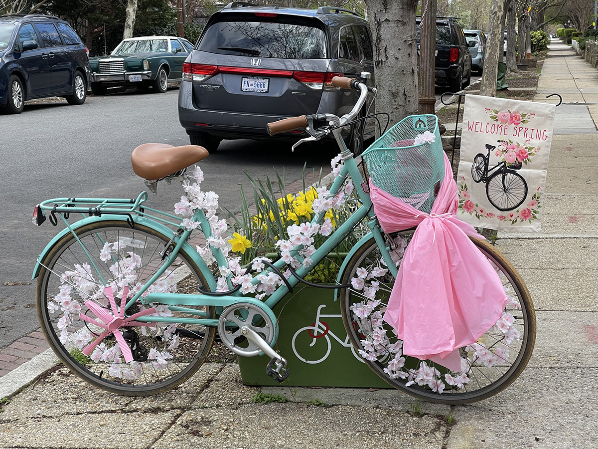Cherry blossom bike