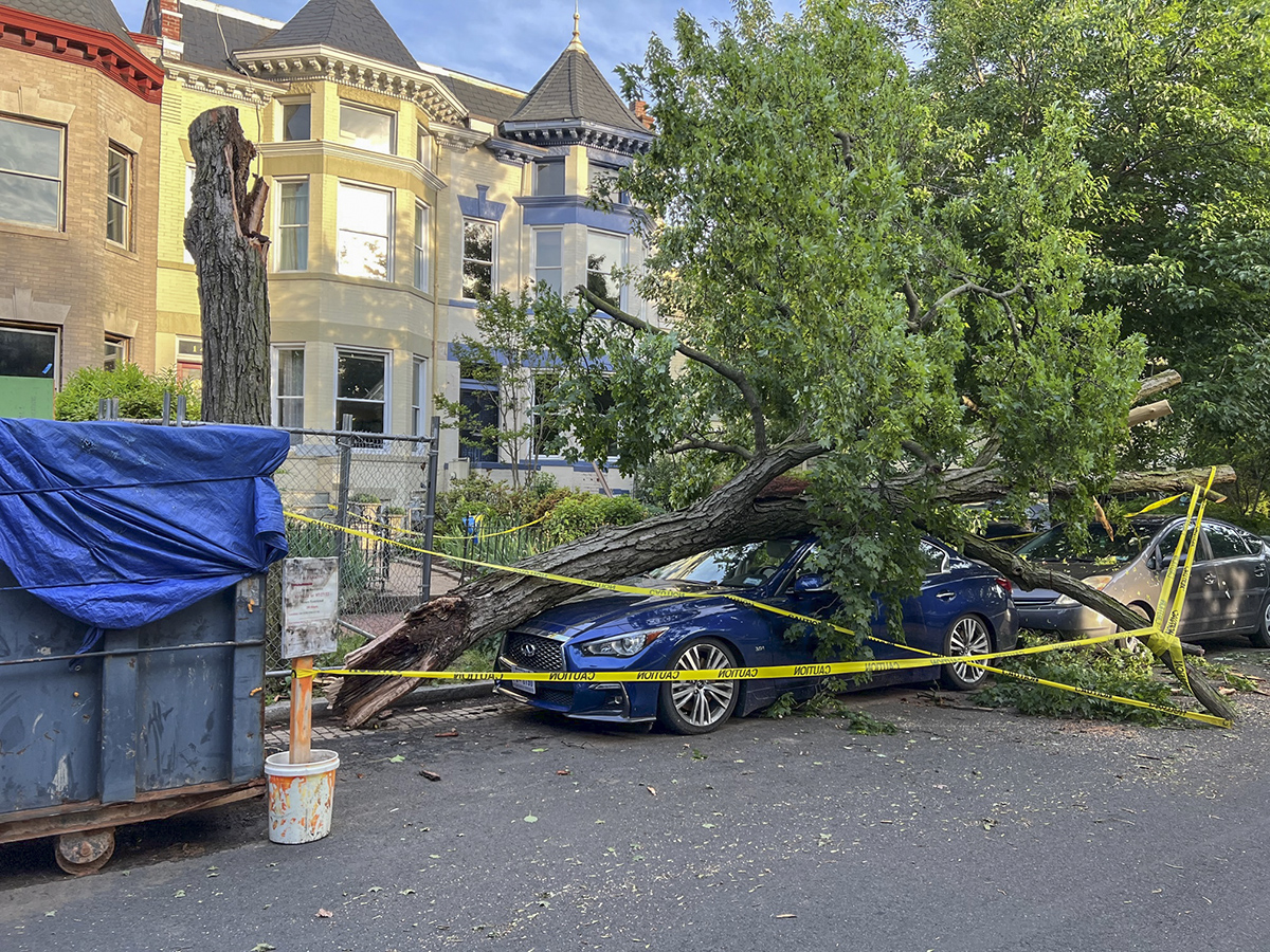 Thunderstorm damage
