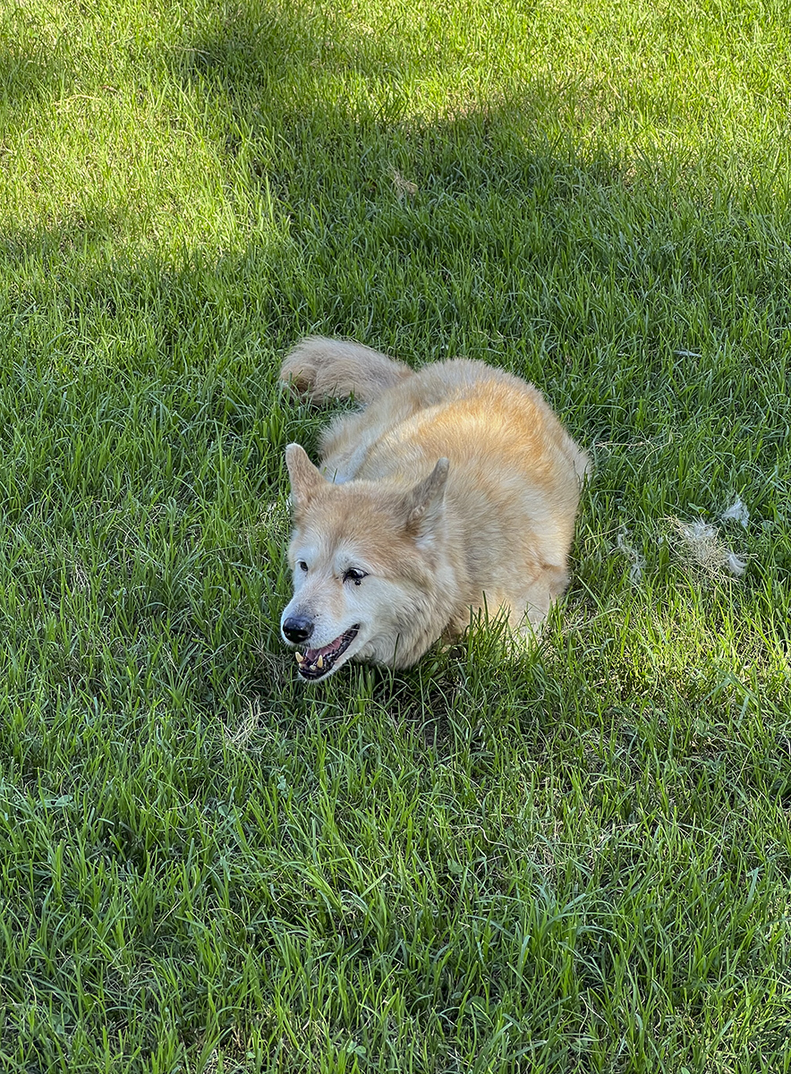 The ravages of old age