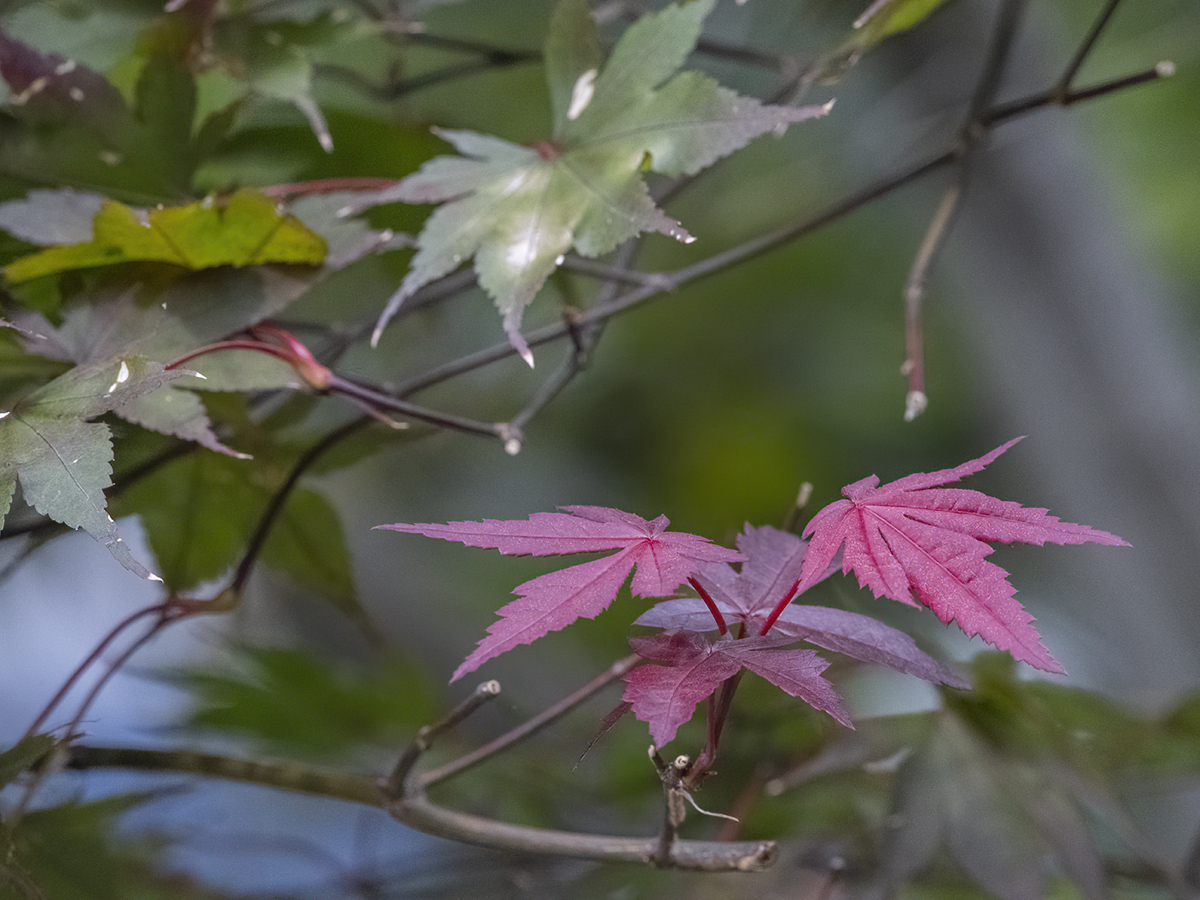 Fall is on its way