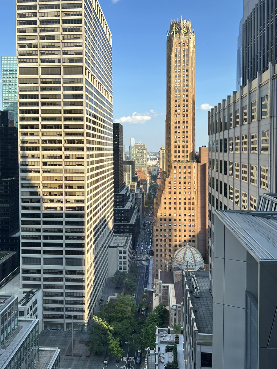 Canyons, NYC