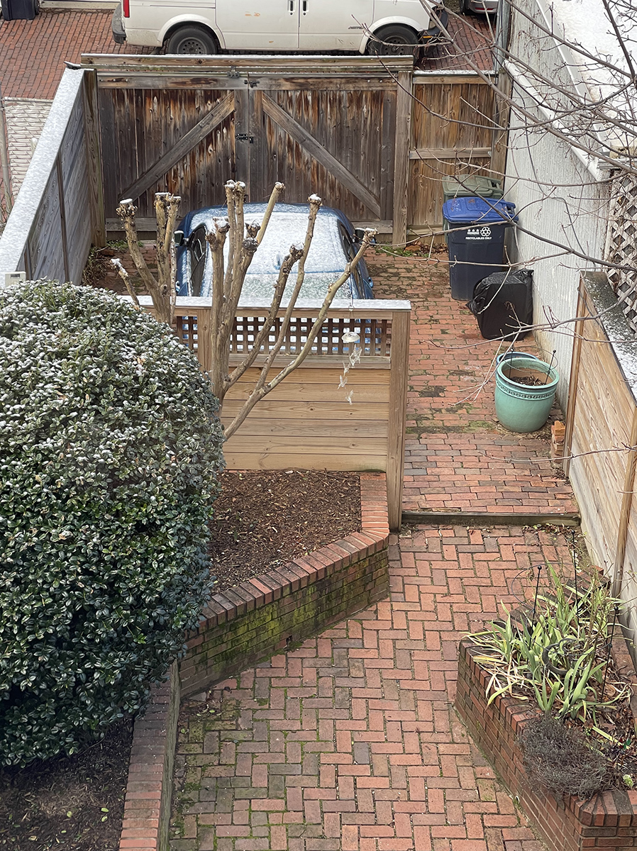 We got snow overnight!
