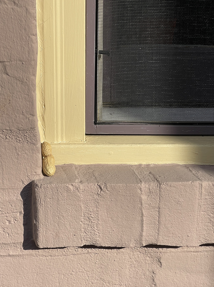 The secret hiding place