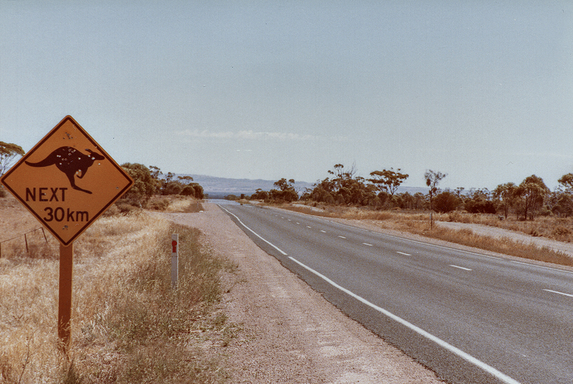 Kangaroos next 30 km