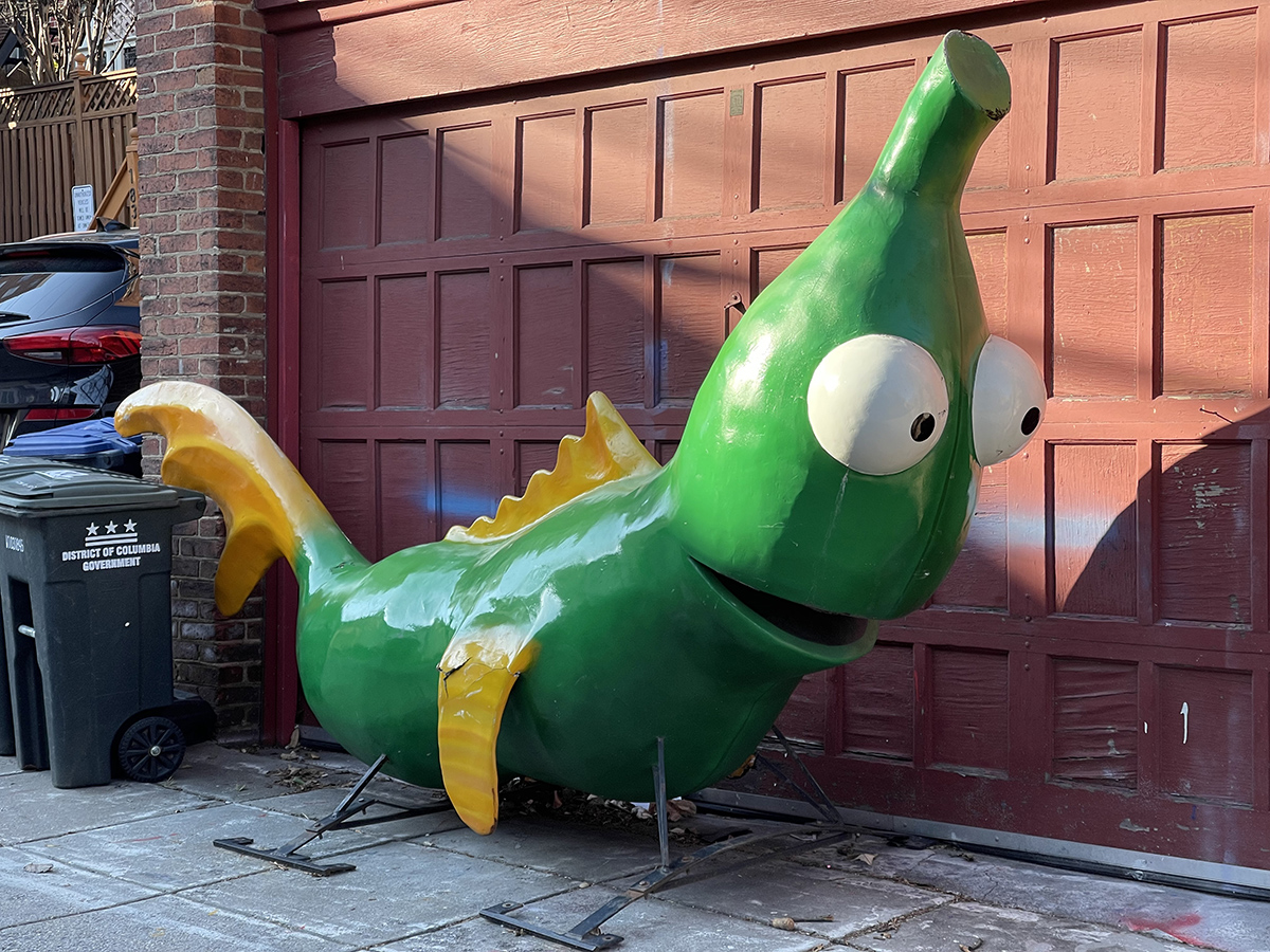 Alley resident