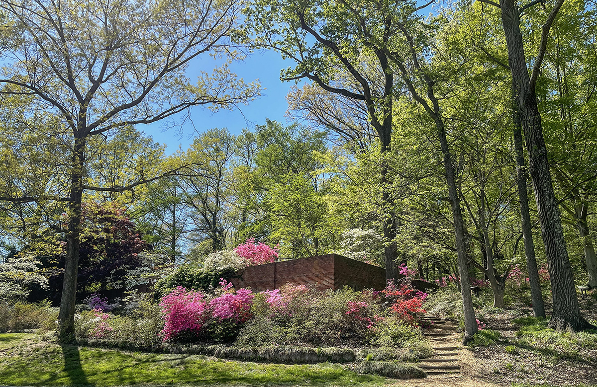 Morrison Garden