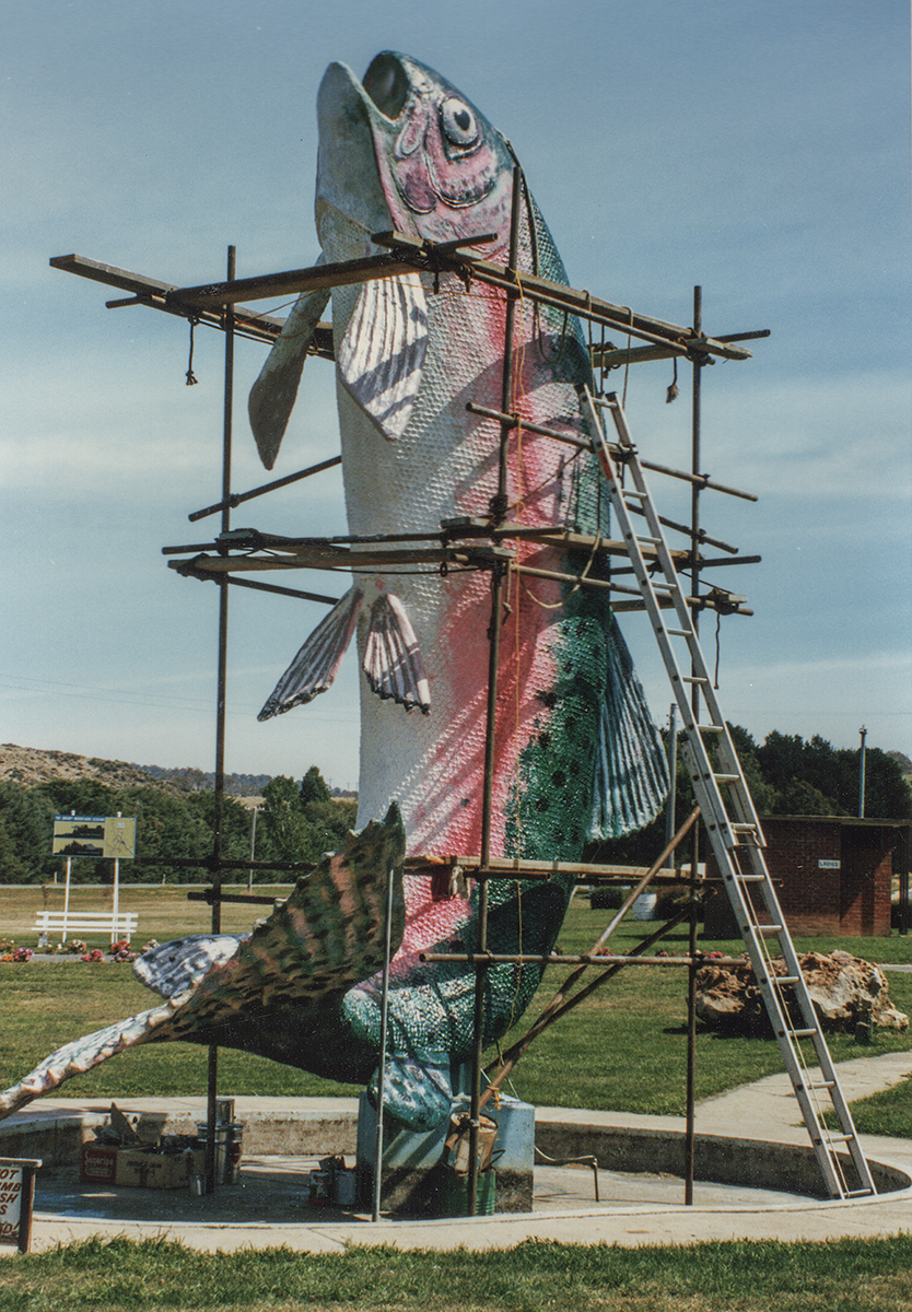 The Big Trout, Adaminiby, NSW