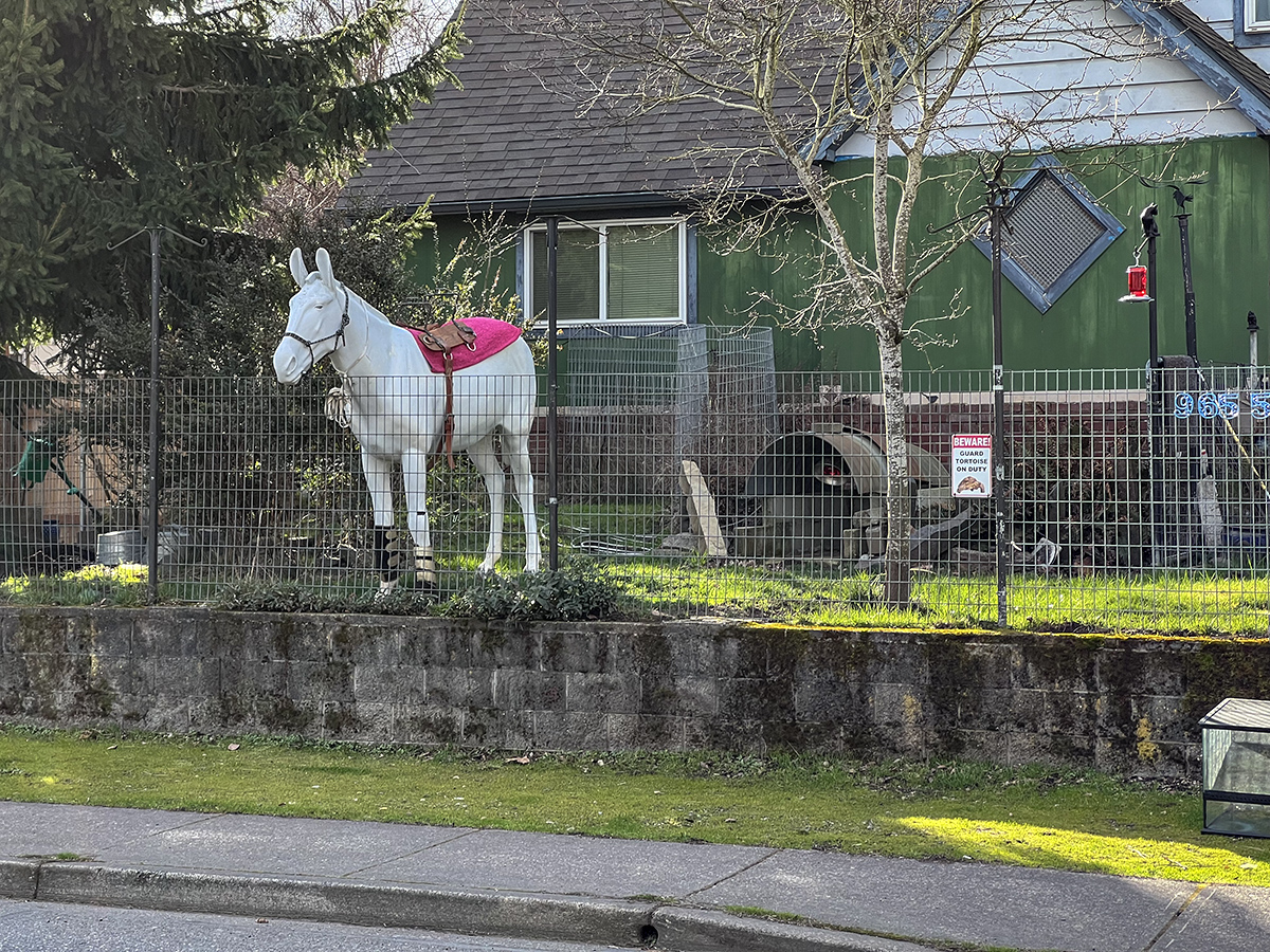 Garden dcor in Milwaukie, Oregon