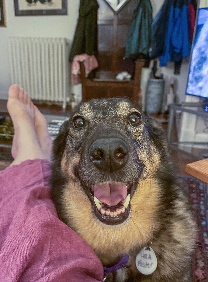 Attention now!