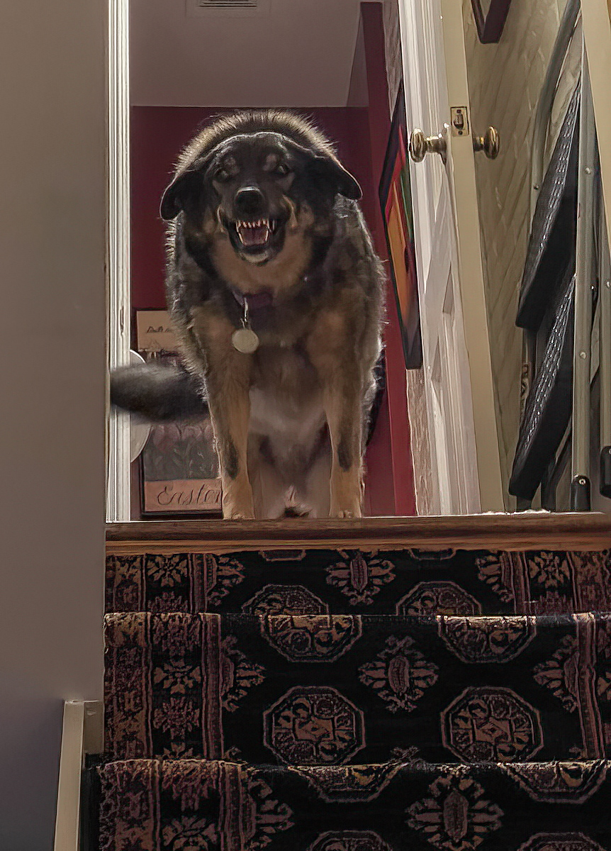Queenie smiling