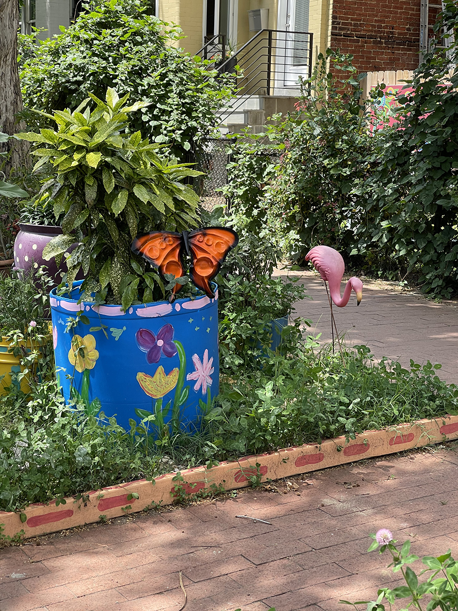 Adding some color to the street